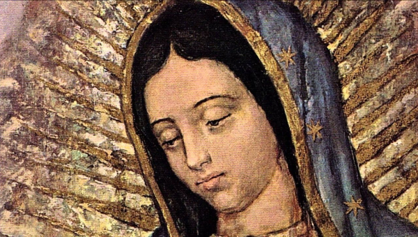 Programa Ver y Creer (14 de diciembre) Tema: La Virgen de México